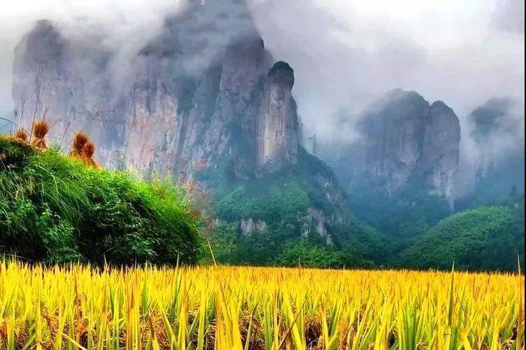 热血NBA万圣节篇